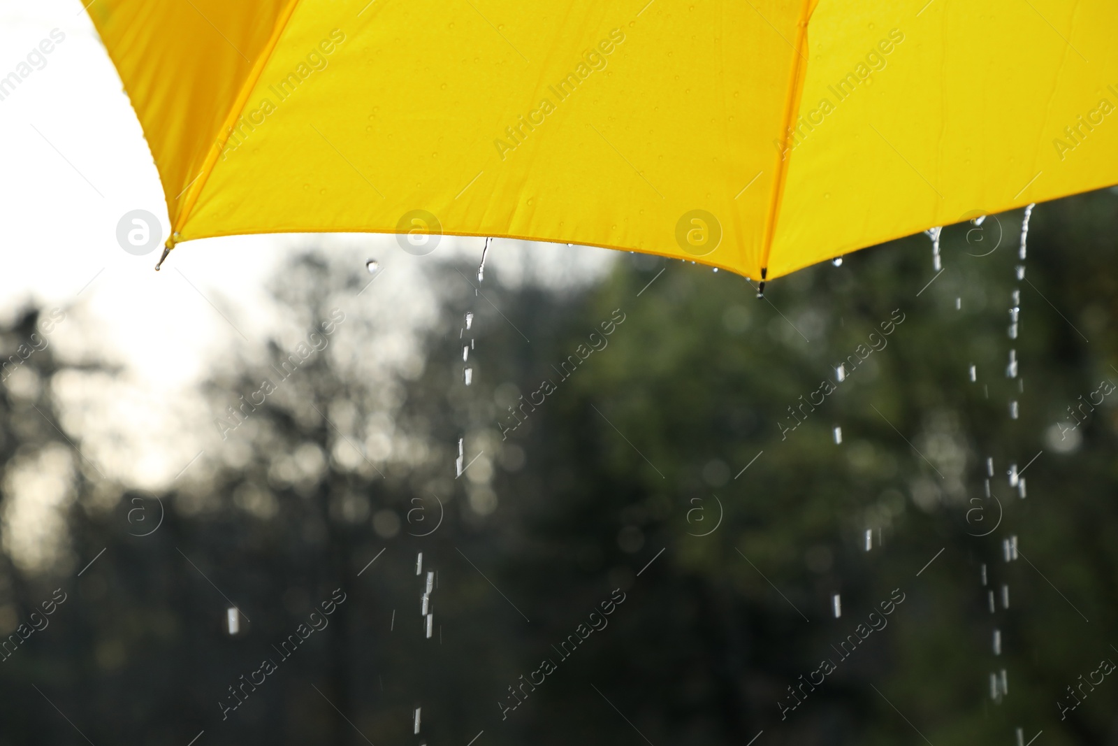 Photo of Open yellow umbrella under pouring rain outdoors, closeup