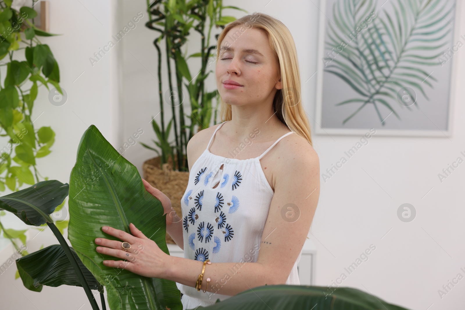 Photo of Feng shui. Young woman surrounded by houseplants at home