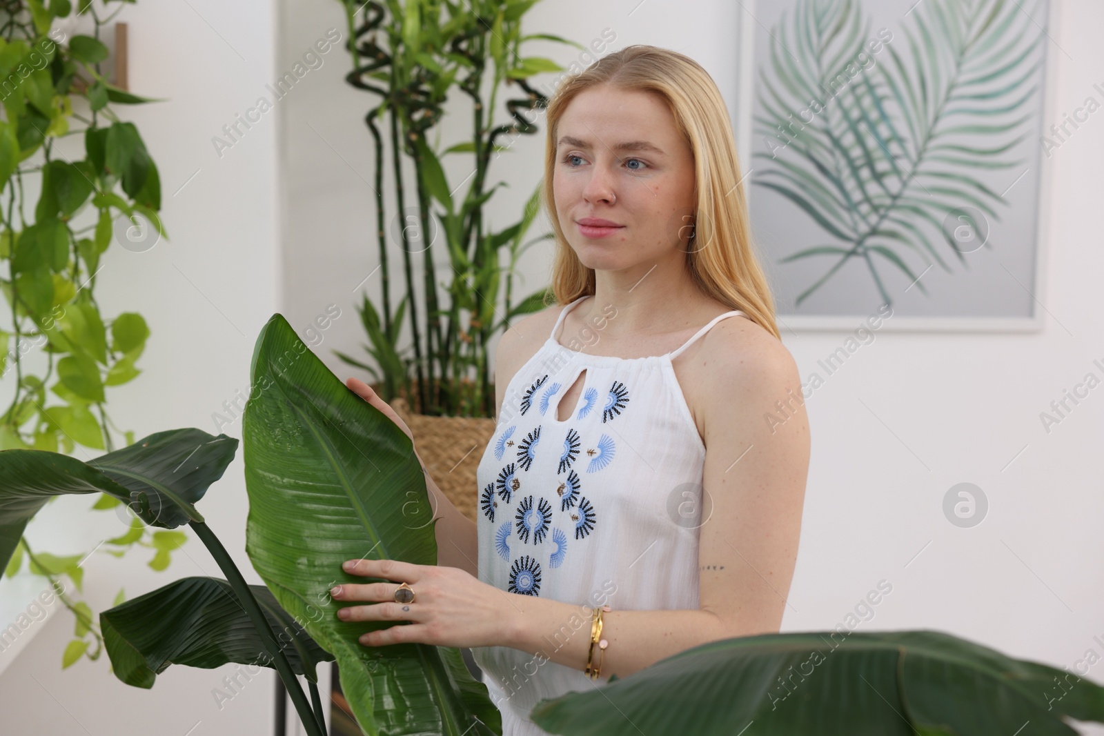 Photo of Feng shui. Young woman surrounded by houseplants at home