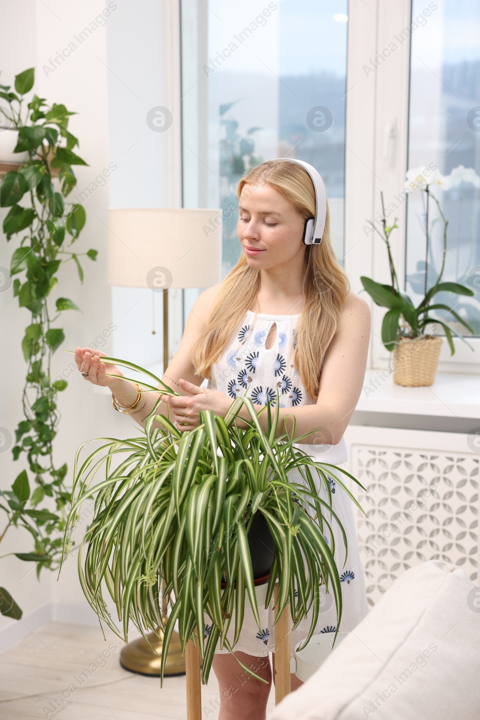 Photo of Feng shui. Young woman in headphones listening to music near houseplants at home