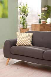 Photo of Feng shui. Stylish couch with cushion and houseplants indoors