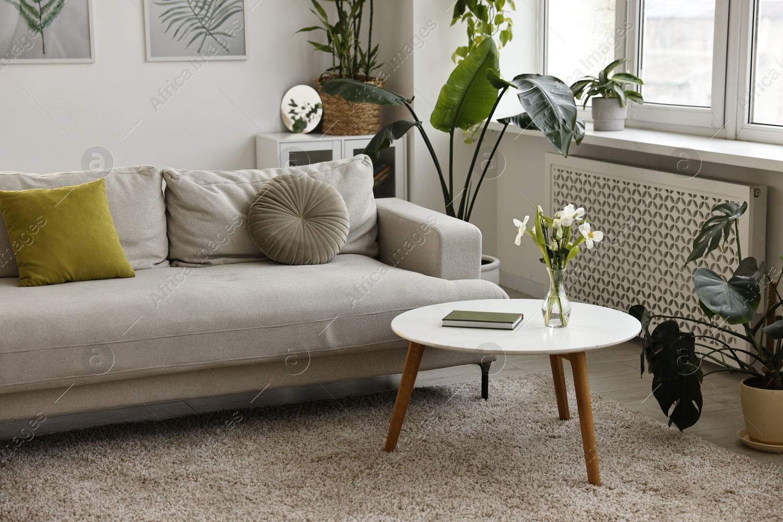 Photo of Feng shui. Stylish room with comfortable couch and houseplants