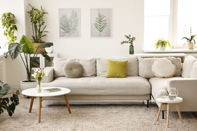 Photo of Feng shui. Stylish room with comfortable couch and houseplants