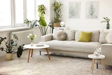 Photo of Feng shui. Stylish room with comfortable couch and houseplants