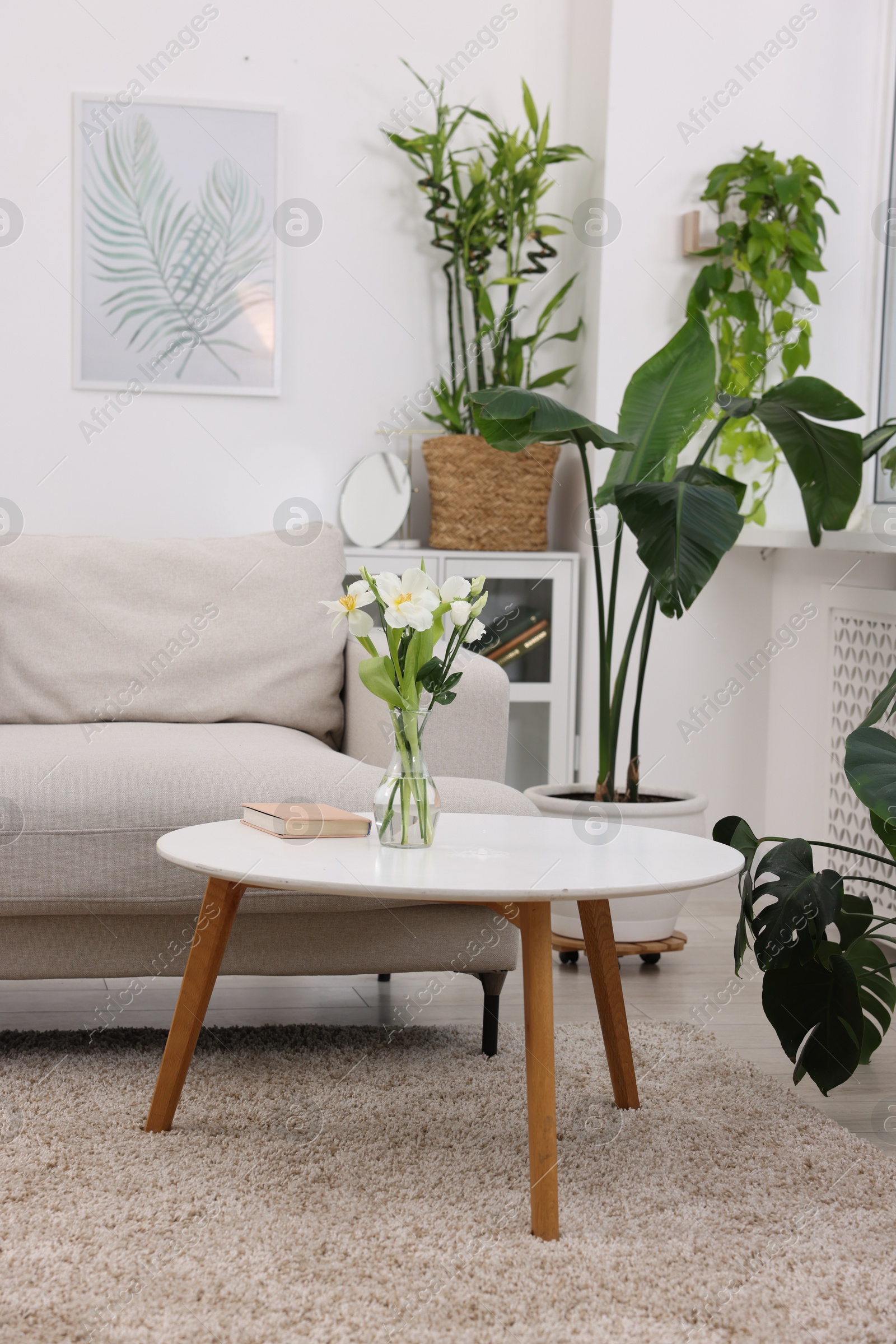 Photo of Feng shui. Stylish room with comfortable couch and houseplants