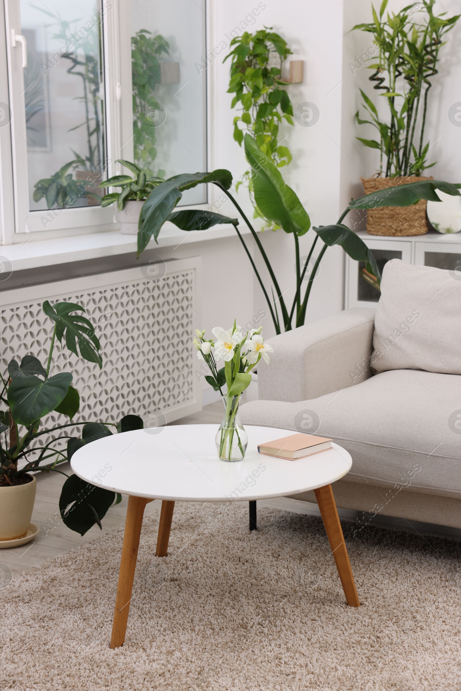 Photo of Feng shui. Stylish room with comfortable couch and houseplants