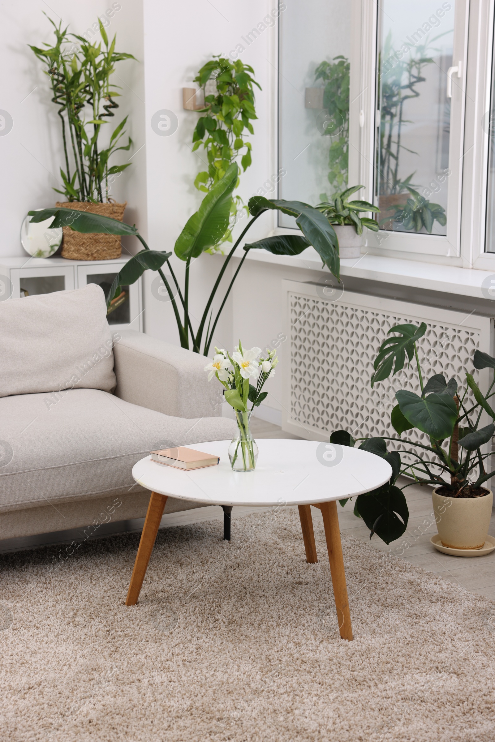 Photo of Feng shui. Stylish room with comfortable couch and houseplants