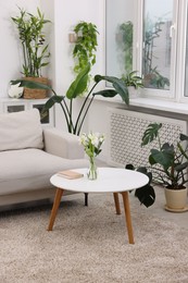 Photo of Feng shui. Stylish room with comfortable couch and houseplants