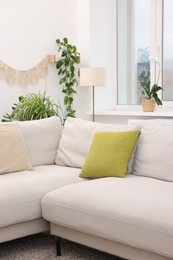 Photo of Feng shui. Stylish room with couch and houseplants