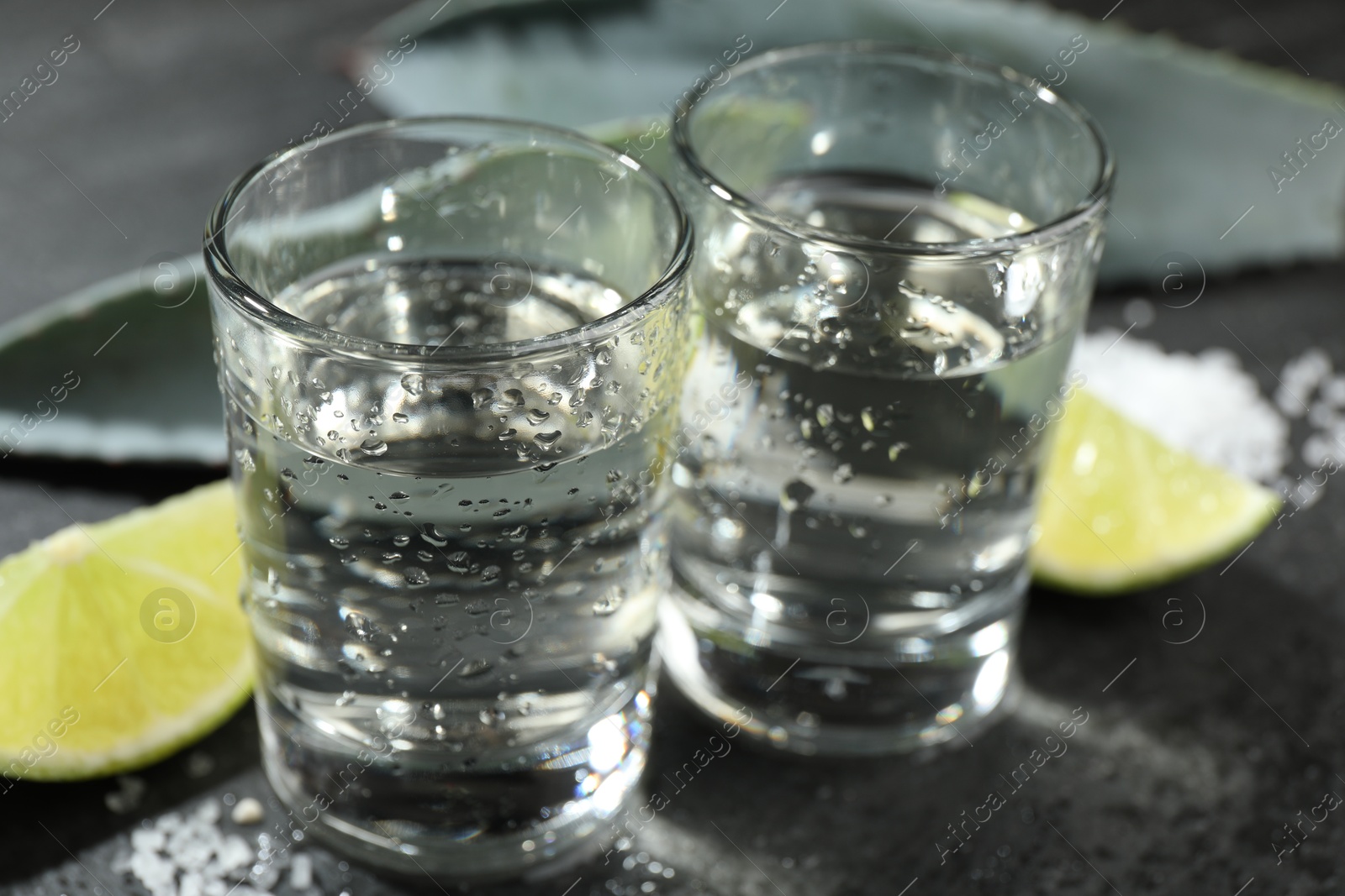 Photo of Tequila shots, slices of lime and agave leaves on grey table, closeup