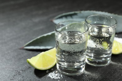 Photo of Tequila shots, slices of lime, salt and agave leaves on grey table, closeup. Space for text