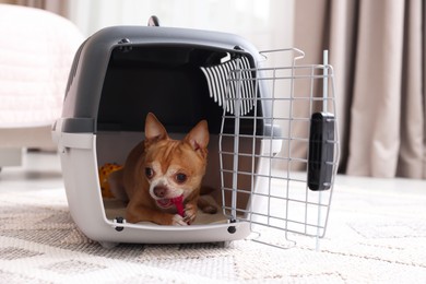 Photo of Adorable dog in pet carrier on floor indoors