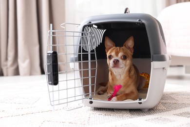 Photo of Adorable dog in pet carrier on floor indoors