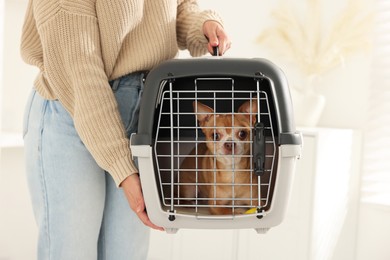 Photo of Woman with dog in pet carrier indoors, closeup