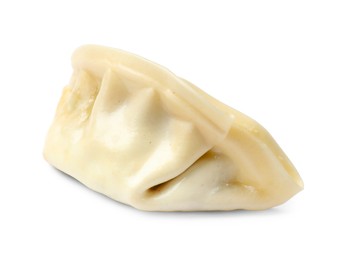 Photo of One fresh gyoza dumpling isolated on white