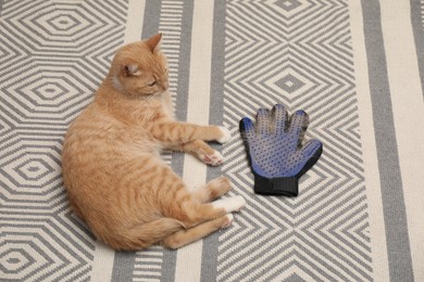 Photo of Cute ginger cat and grooming glove with pet's hair on floor