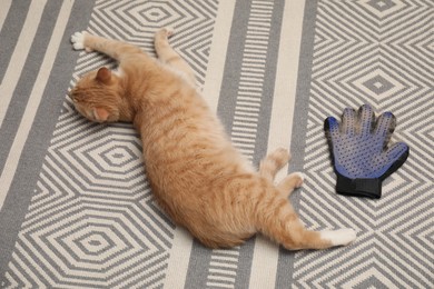 Photo of Cute ginger cat and grooming glove with pet's hair on floor