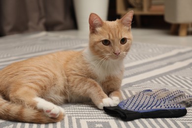 Photo of Cute ginger cat and grooming glove with pet's hair on floor at home, closeup