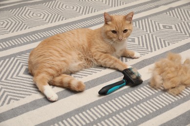 Photo of Cute ginger cat, brush and pile of pet's hair on floor