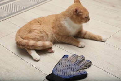 Photo of Cute ginger cat and grooming glove with pet's hair on floor