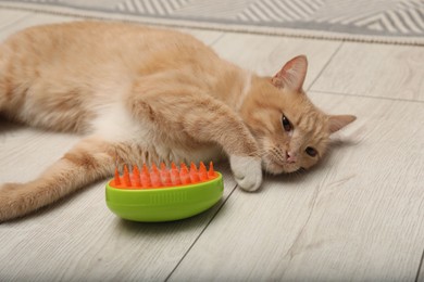 Photo of Cute ginger cat and brush with pet's hair on floor