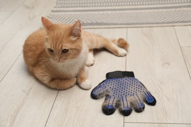 Photo of Cute ginger cat and grooming glove with pet's hair on floor