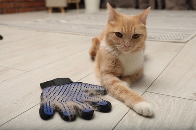 Photo of Cute ginger cat and grooming glove with pet's hair on floor