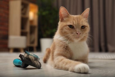 Photo of Cute ginger cat and brush with pet's hair on floor at home, closeup