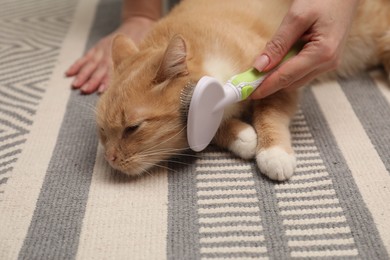 Photo of Woman brushing cat's hair on floor, closeup. Pet grooming