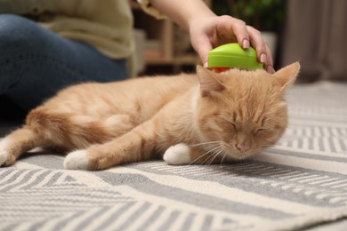 Photo of Woman brushing cat's hair on floor at home, closeup. Pet grooming