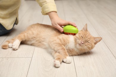 Photo of Woman brushing cat's hair on floor, closeup. Pet grooming