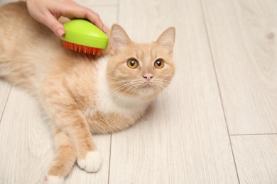 Photo of Woman brushing cat's hair on floor, closeup with space for text. Pet grooming