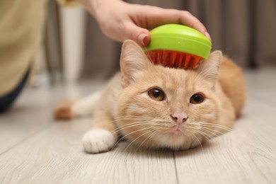 Photo of Woman brushing cat's hair on floor at home, closeup. Pet grooming