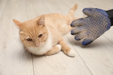 Photo of Woman wearing grooming glove with pet's hair and cat on floor at home, closeup