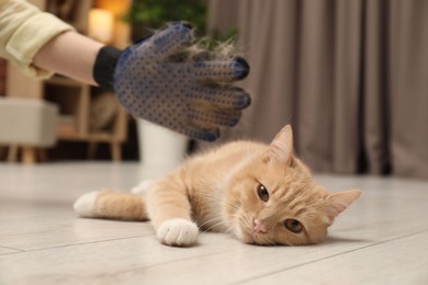 Photo of Woman brushing cat's hair with glove on floor at home, closeup. Pet grooming