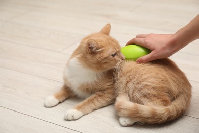 Photo of Woman brushing cat's hair on floor, closeup. Pet grooming