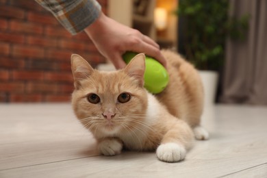 Photo of Woman brushing cat's hair on floor at home, closeup. Pet grooming