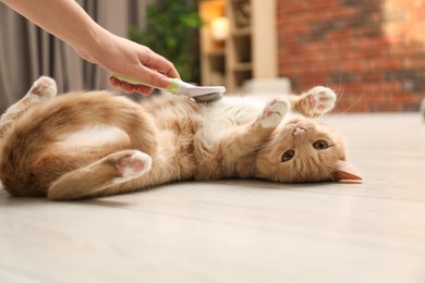 Photo of Woman brushing cat's hair on floor at home, closeup. Pet grooming