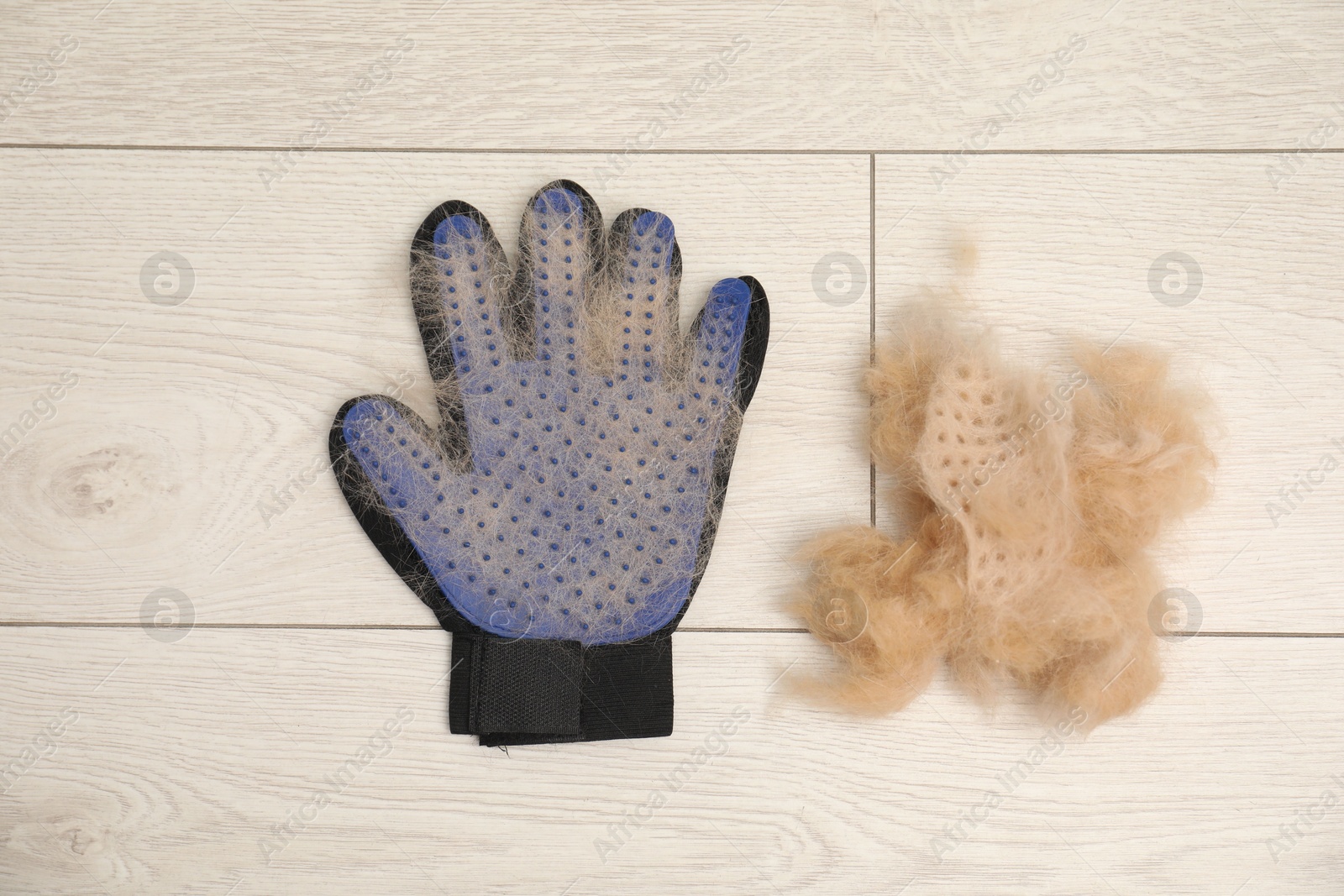 Photo of Grooming glove and pile of pet's hair on floor, top view