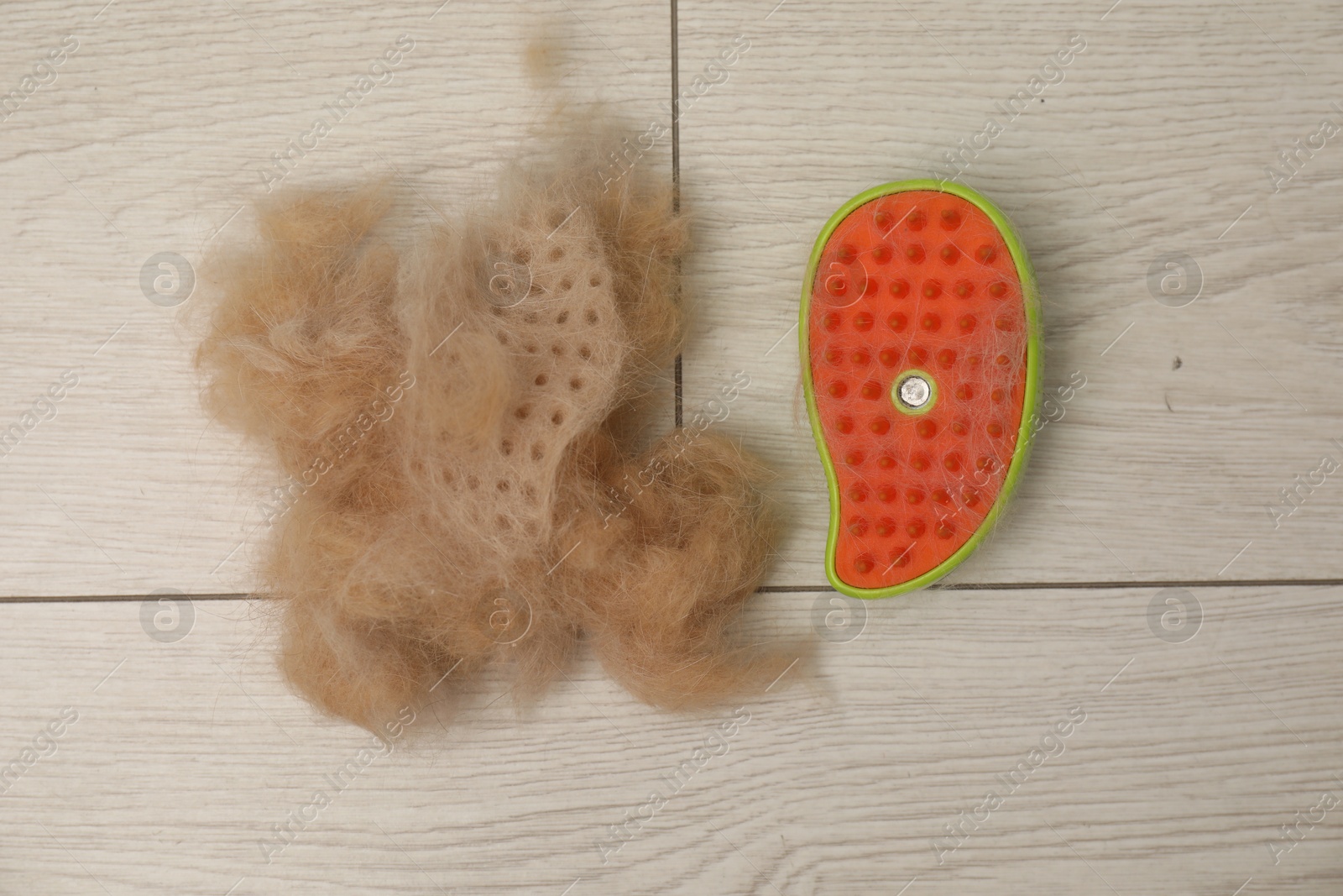 Photo of Grooming brush and pile of pet's hair on floor, top view