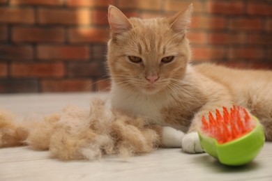 Photo of Cute ginger cat, brush and pile of pet's hair on floor at home, closeup