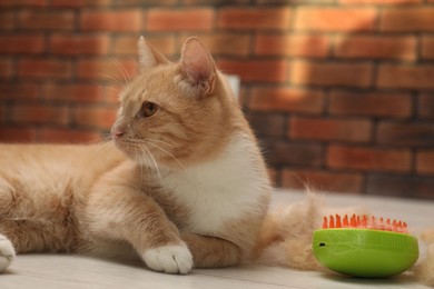 Photo of Cute ginger cat, brush and pile of pet's hair on floor at home, closeup