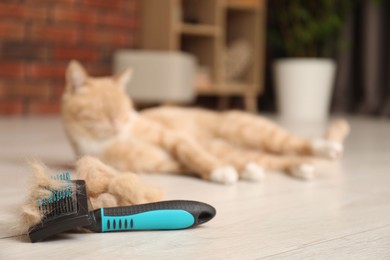 Photo of Brush with pet's hair and cat on floor indoors, selective focus