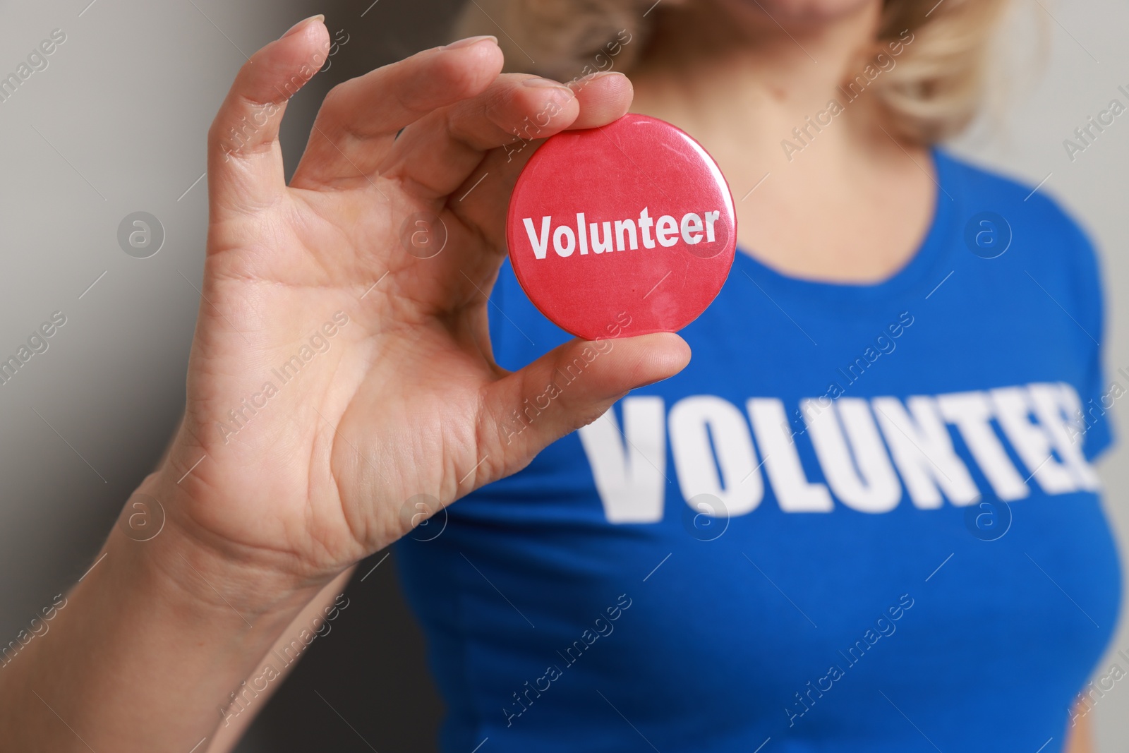 Photo of Woman holding button badge with word Volunteer on grey background, closeup