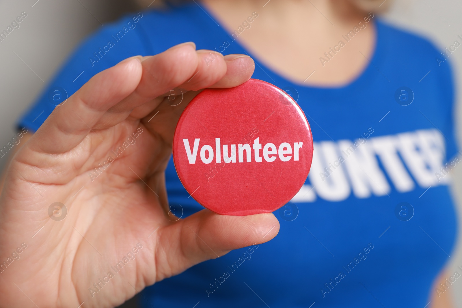 Photo of Woman holding button badge with word Volunteer on grey background, closeup