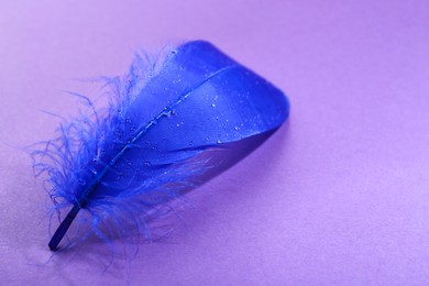 Fluffy blue feather on purple background, closeup. Space for text