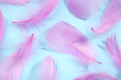 Photo of Fluffy pink feathers on light blue background, closeup