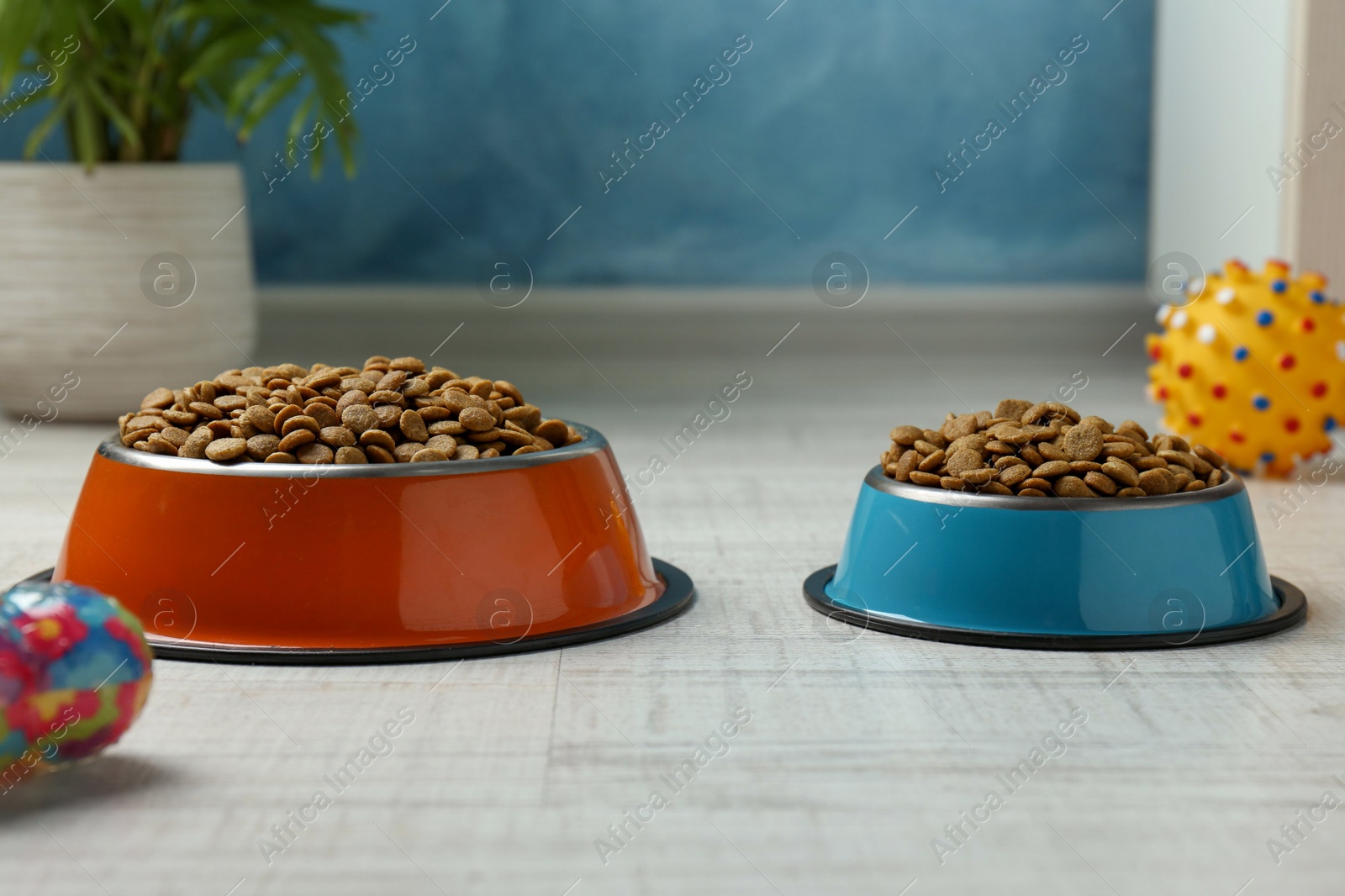 Photo of Dry pet food in feeding bowls and toys on floor indoors