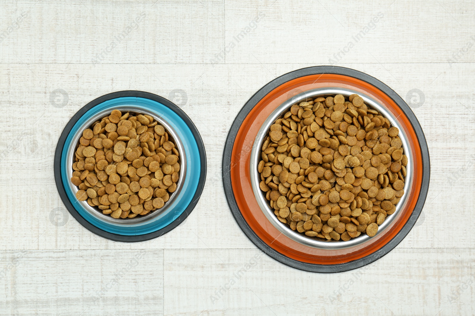 Photo of Dry pet food in feeding bowls on floor, top view