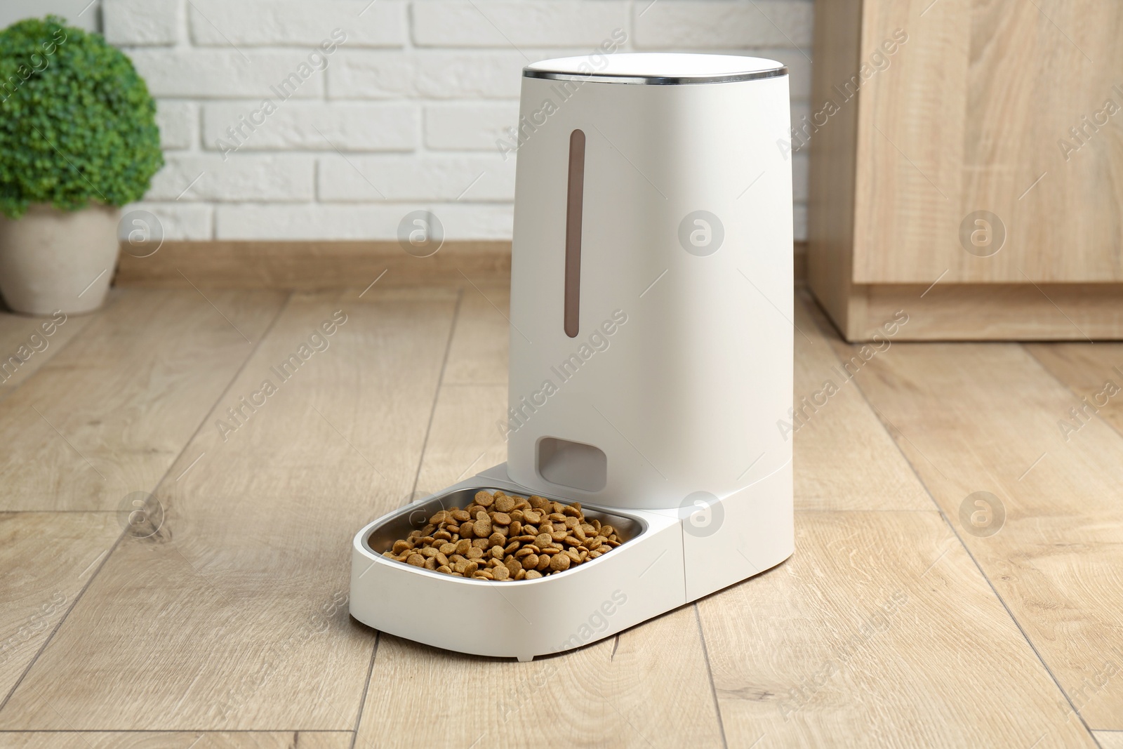 Photo of Dry pet food in automatic feeder on floor indoors